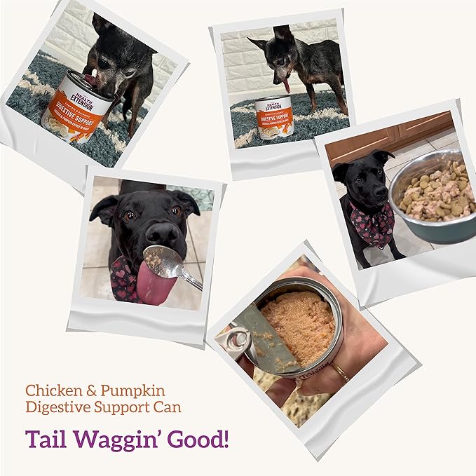 Health Extension Gravy Dog Food, Chicken Meal & Pumpkin Entrée, Crude Protein, Fiber & Fat with Added Vitamins, All Life Stages, Wet Dog Food, Improve Gut Health, Digestive Support (9 Ounce, 12 Cans)