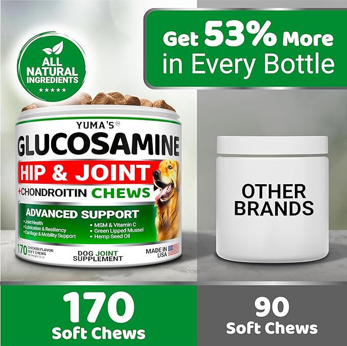 Glucosamine for Dogs - Hip and Joint Supplement for Dogs - 170 Ct - Glucosamine Chondroitin for Dogs Chews - Dog Joint Pain Relief with MSM - Advanced Dog Joint Supplement Health - Mobility Support