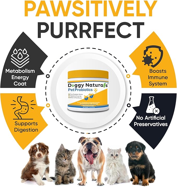 Probiotics for Dogs and Cats - Advanced Max-Strength Digestive Health, Increase & Maintain Proper Gut Flora- All Natural Probiotics Powder - (Made in USA) 7.4 Oz (6 Billion CFU Per Scoop)