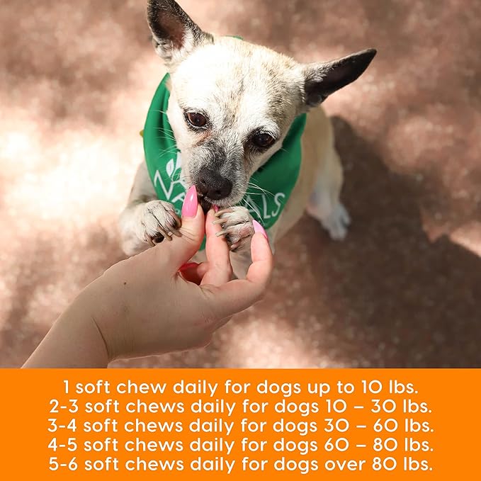 ARK NATURALS Gray Muzzle Old Dogs! Happy Joints! Vet Recommended to Support Cartilage and Joint Function, Glucosamine, 90 Soft Chews,Orange