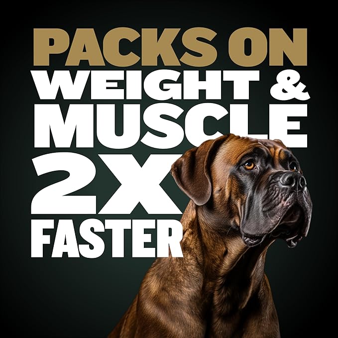 Bully Max Protein Powder for Dogs | Supports Muscle Building & Muscle Gain | #1-Rated Performance Brand Since 2009 | for Dogs of all Ages | 368 Grams