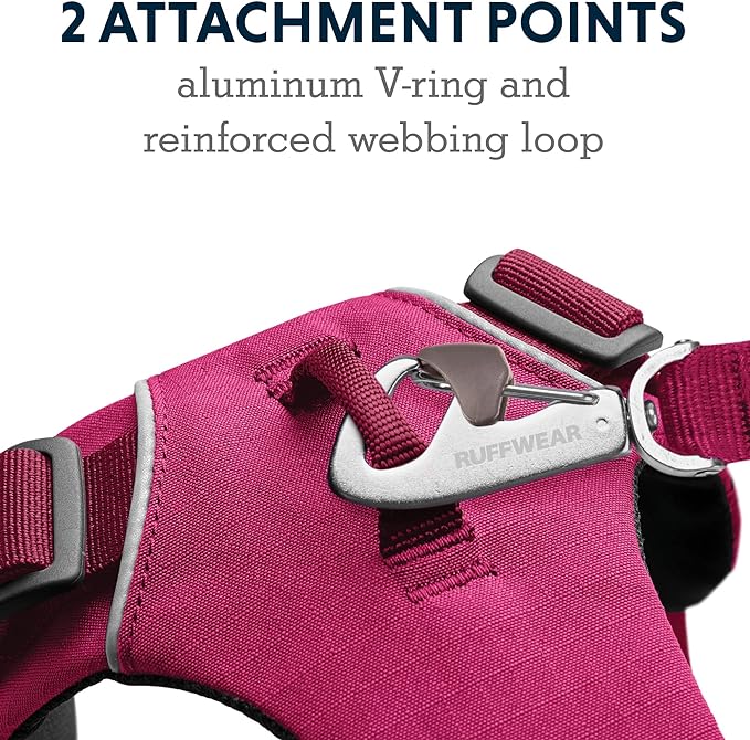 Ruffwear, Front Range Dog Harness, Reflective and Padded Harness for Training and Everyday, Hibiscus Pink, Medium
