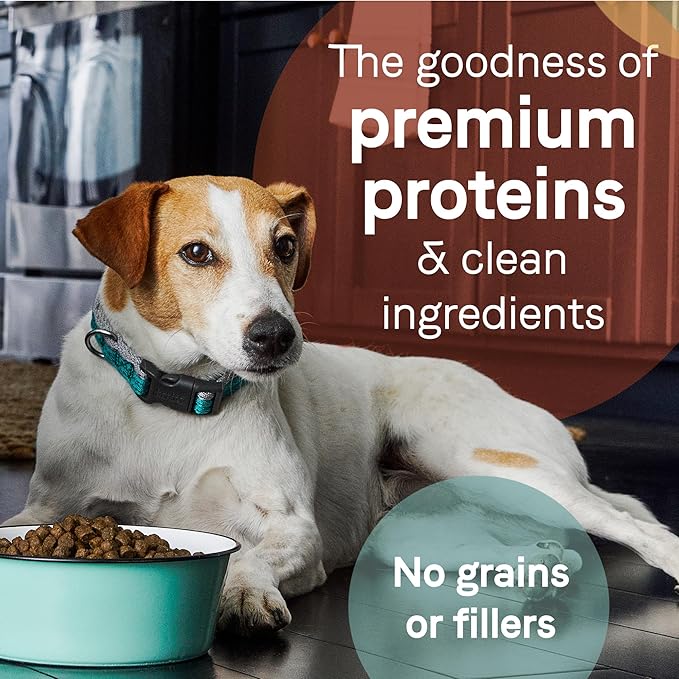 Canidae PURE Healthy Weight Limited Ingredient Premium Adult Dry Dog Food, Chicken and Pea Recipe, 22 Pounds, Grain Free