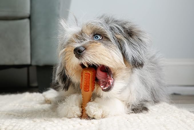 Hartz Chew ‘n Clean Chew Toy and Treat in One Chicken Flavored Drumstick Dog Toy, Extra Small