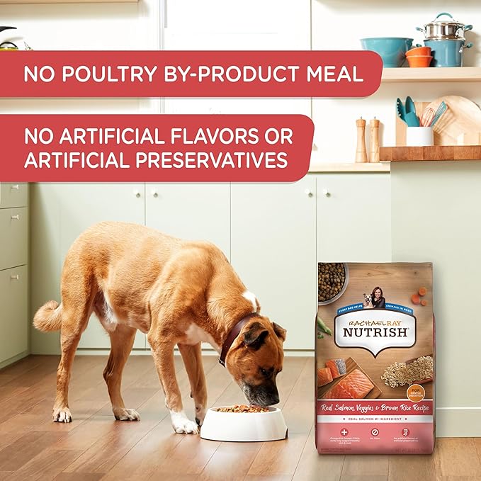 Rachael Ray Nutrish Salmon Dry Dog Food, 26 Pound Bag