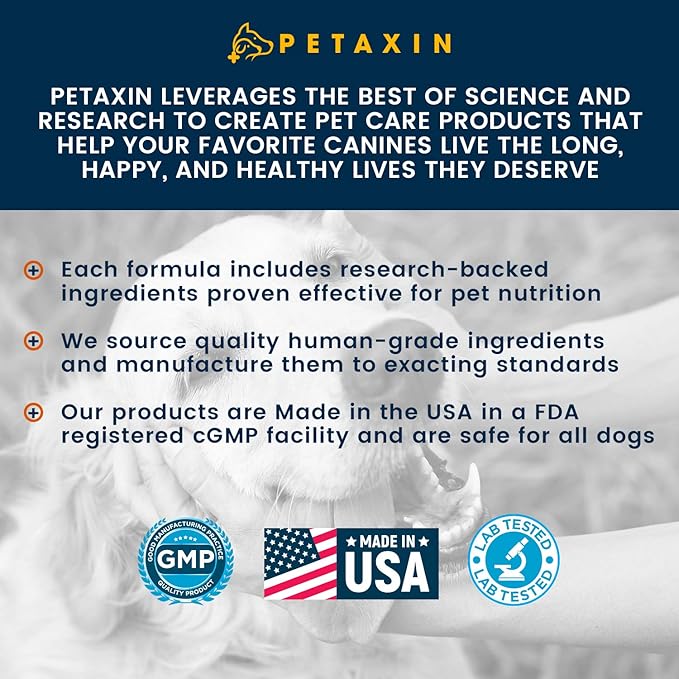 Glucosamine for Dogs – Advanced Hip and Joint Supplement for Dogs - Dog Joint Supplement for Joint Pain Relief and Mobility – Dog Glucosamine with Chondroitin, MSM, Turmeric - 120 Soft Chews
