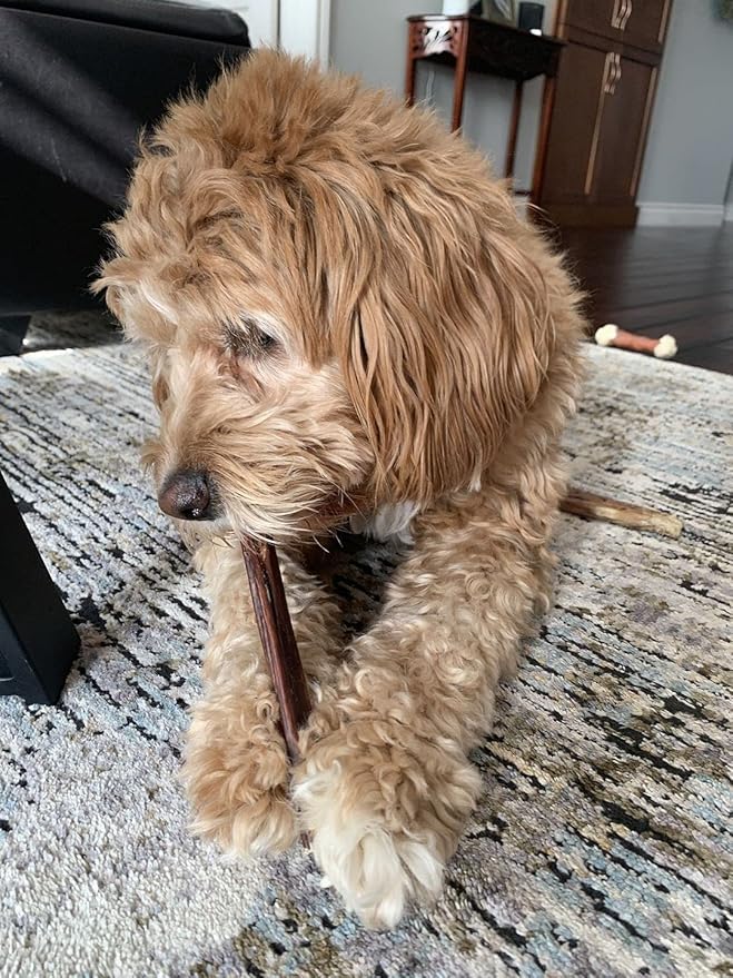 Bully Bunches All Natural 6 Inch Beef Jerky Sticks – Soft and Crunchy Gullet Chews - Odor Free, Rawhide Free, Chemical Free – Safe, Healthy and Nutritious Dog Treats for Light Chewers, 25 Pk