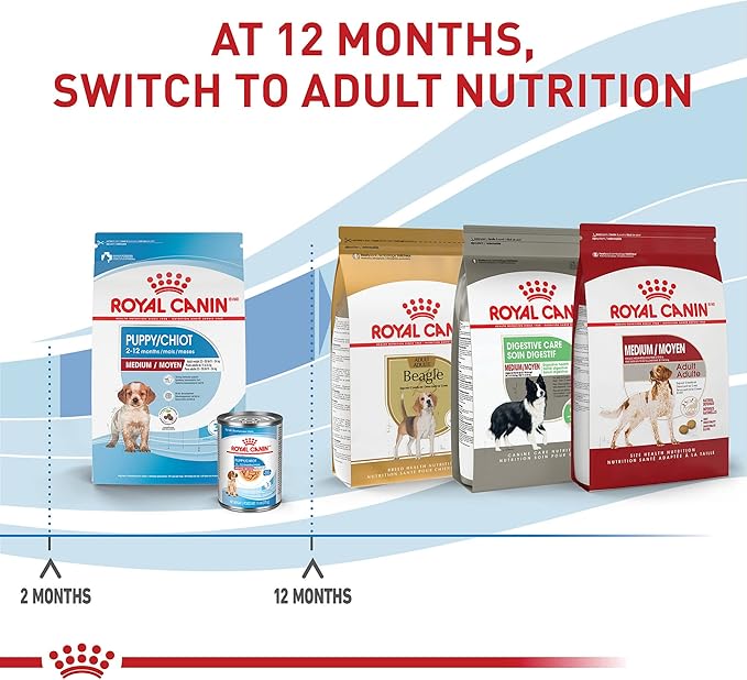 Royal Canin Size Health Nutrition Medium Puppy Dry Dog Food, 6 lb Bag Size Health Nutrition Medium Puppy Thin Slices in Gravy Wet Dog Food, 13 oz can (12-Count)