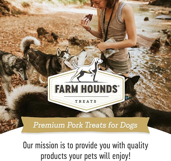 Farm Hounds Premium Pork Jerky for Dogs, 100% Made from Humanely-Raised Pork, Dog Jerky Treats, Healthy Delicious Dog Trainer Dehydrated Pork Jerky Tenders, Made in USA