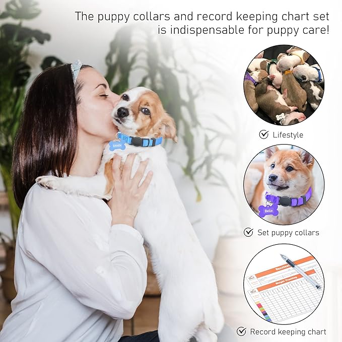 GAMUDA Puppy Collars ID Tags – Super Soft Whelping Puppy ID - Adjustable Breakaway Litter Collars Pups – Assorted Colors Plain & Identification Collars with 2 Record Keeping Charts - Set of 12 (S)