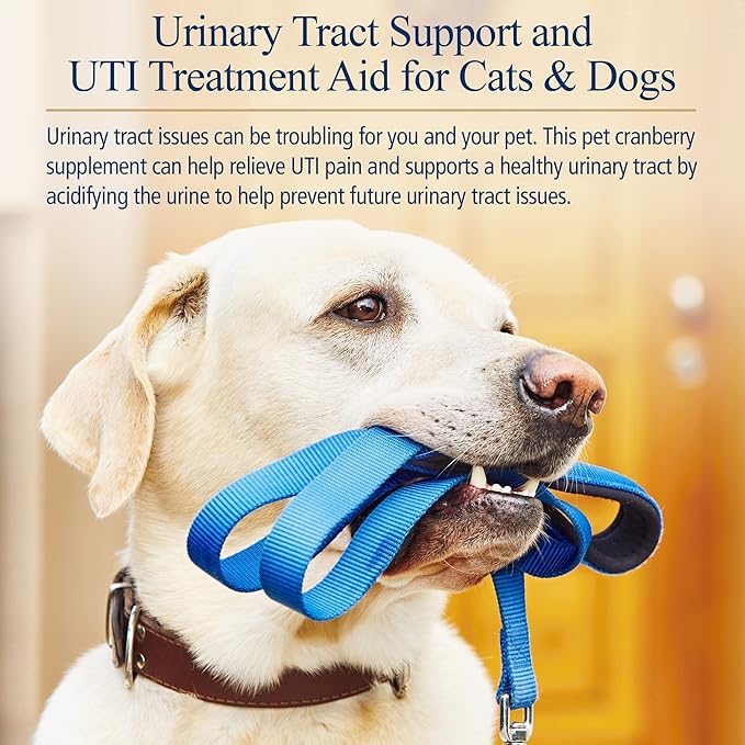 Rx Vitamins Cranberry Pills for Dogs - Cat Urinary Tract Medicine Support - UTI Treatment for Pets - Dog & Cat Urinary Relief Aid - 90 Cap.