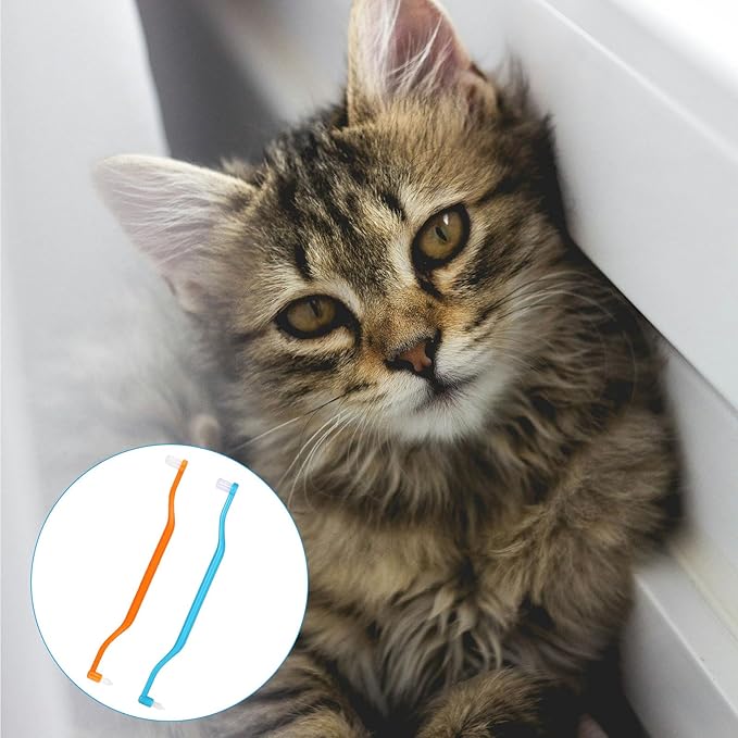 2pcs Dual Sided Cat & Dog Toothbrushes 6.3x0.63in Kitten Puppy Teeth Cleaning Brush Micro Head Pets Kitty Dental Care for Prevent Bad Breath & Plaque Tartar Formation (Blue,Orange)