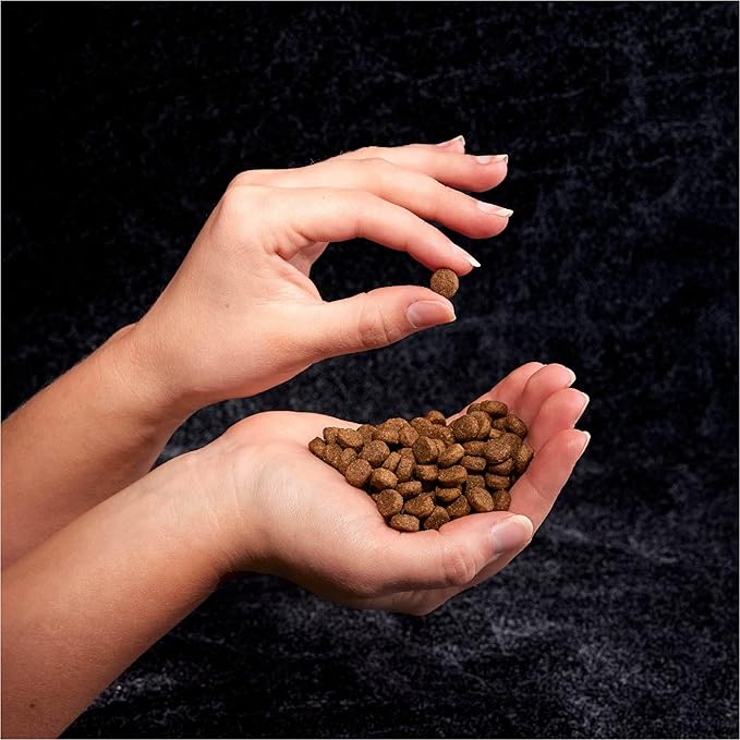 CRAVE Grain Free High Protein Adult Dry Dog Food, Beef, 12 lb. Bag