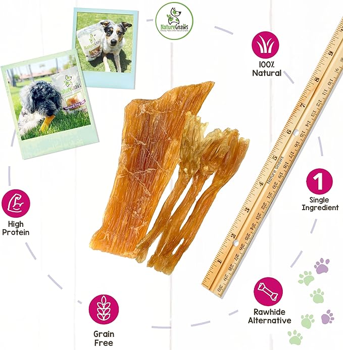 Nature Gnaws Mixed Beef Tendons & Paddywack for Dogs - Premium Natural Beef Dental Bones - Long Lasting Tasty Dog Chew Treats - Puppy Training Reward