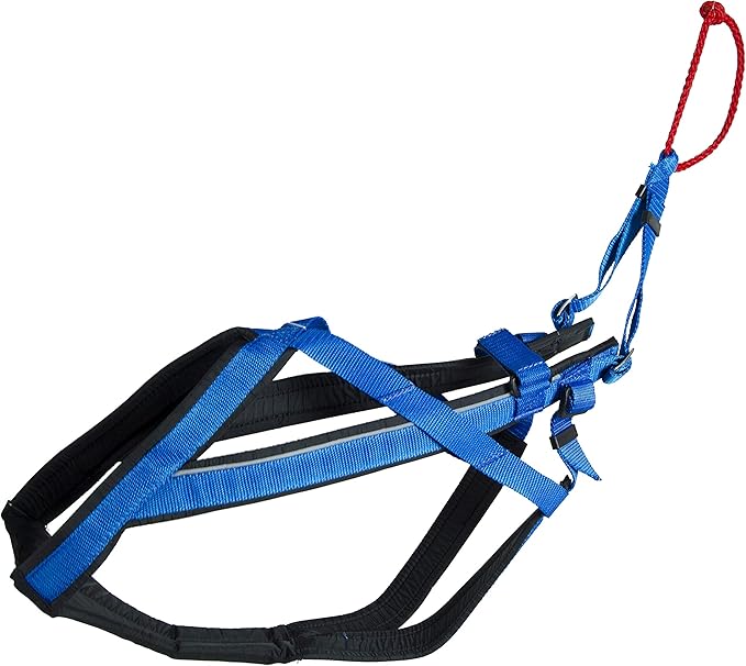 Neewa Adjustable Racing Harness (Small, Blue) - Ideal for Dog Pull with Bike, Skateboard, Rollerblade, Cart, Canicross