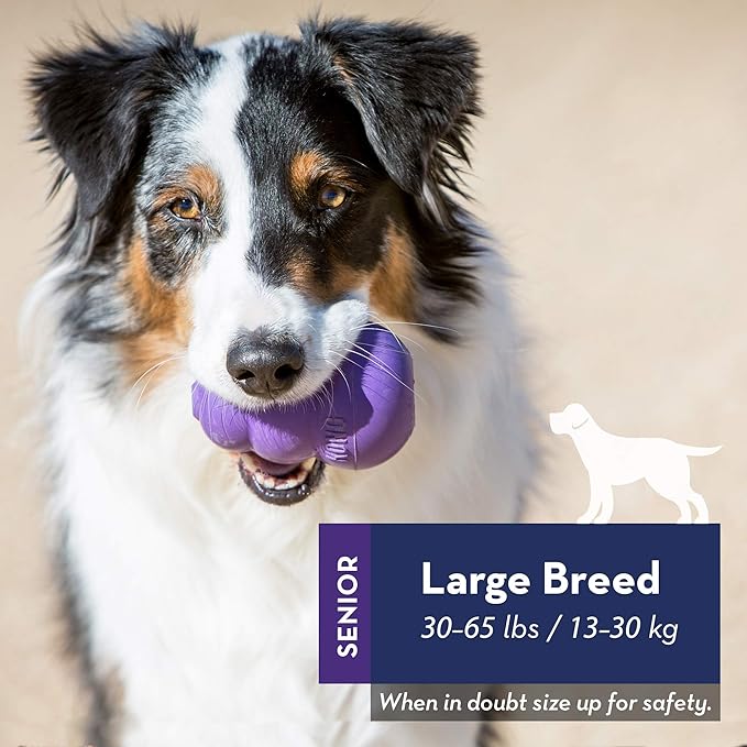 KONG Senior - Dog Toy with Gentle, Natural Rubber - Durable Dog Toy for Older Dogs - Use Treats with Stuffable Chew Toy - Treat Toy for Chewing & Fetching - for Large Dogs