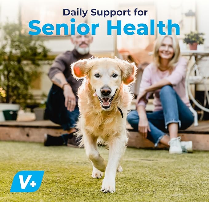 Vetnique Seniorbliss Senior Dog Joint Supplement with Glucosamine and Chondroitin for Dogs Joint Support and Healthy Cartilage Development - for Small & Large Breeds (Hip & Joint Chew, 120ct)