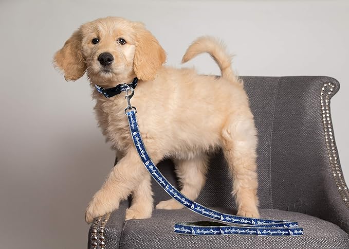 MLB PET Leash, Small, Los Angeles Dodgers Dog Leash, Baseball Team Leash for Dogs & Cats. A Shiny & Colorful Dog & Cat Leash with Emboridered Team Name/Logo Licensed by the MLB