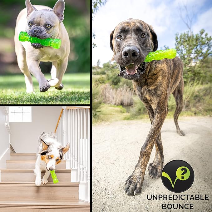 Hyper Pet DuraSqueaks Dog Toy Balls and Dog Chews (Squeaky Dog Ball For Interactive Play – Floating Dog Balls and Dog Toys) - Medium Stick