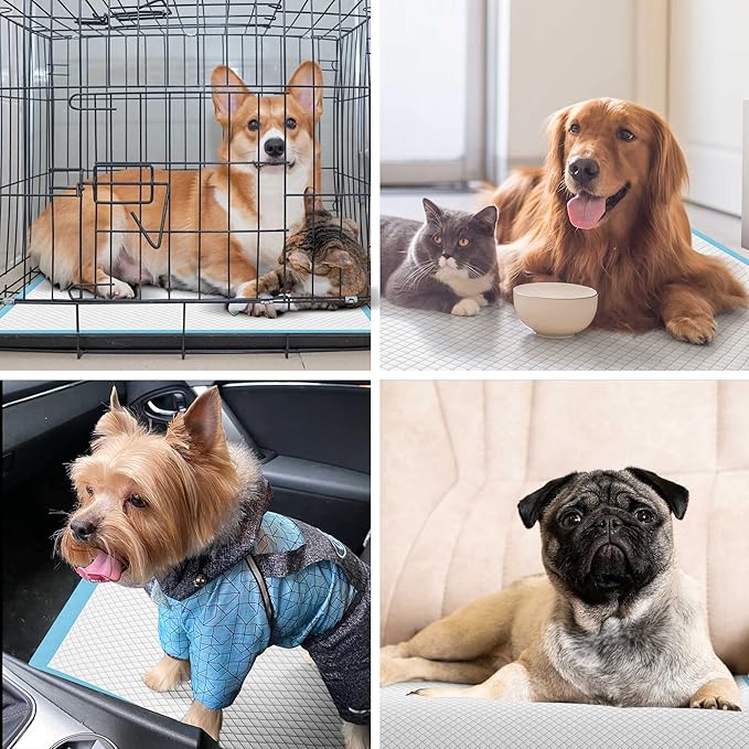 Thicken 6 Layers Heavy Absorbent XL 36"x24" Pet Training Dog Pee Pads, Extra Large Polymer Leak-Proof Quick Dry Puppy Pee Pads, Disposable Pee Pads for Dogs Cats Rabbit