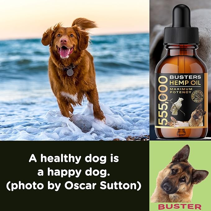 2-PACK Buster's Organic Hemp Oil for Dogs & Pets, 4-MONTH Supply, Large 60ml Bottles, 555,000 Max Potency, Joint Relief, Calming, Miracle Formula, Perfectly Balanced Omega 3, 6, 9, USA