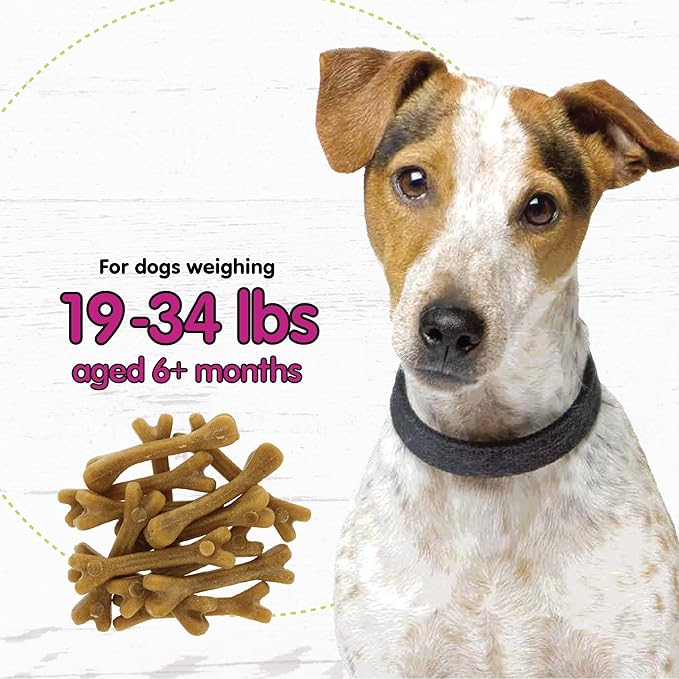 Belly Bones for Dogs, 13 Yogurt Flavor Small Dog Dental Treats (Made in USA) - 13 Count Dog Treats for Small Dogs - Plaque and Tartar Control for Fresh Breath, Digestive Health Support