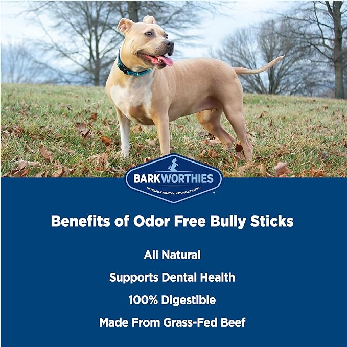 Barkworthies Odor-Free 6-inch Bully Sticks (5 Pack) - Healthy Dog Chews - Protein-Packed, Highly Digestible, All-Natural Rawhide Alternative Dog Treats - Promotes Dental Health