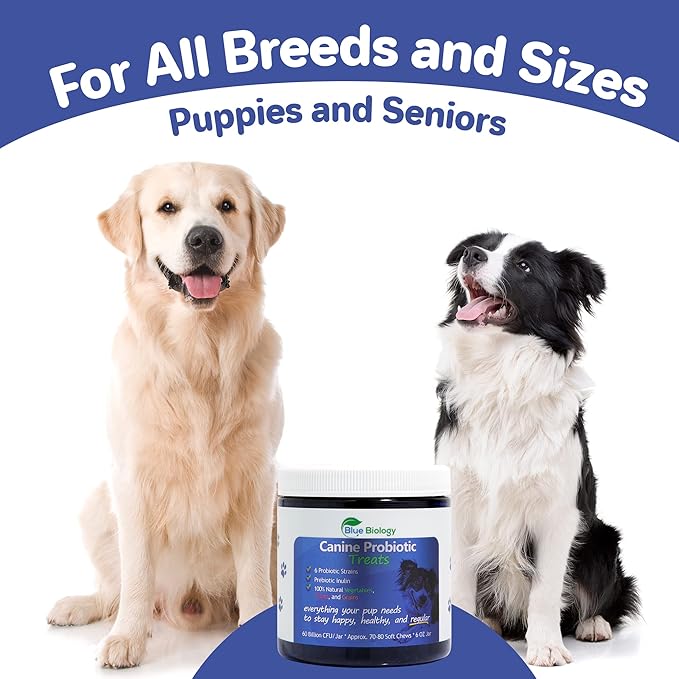 Canine Probiotic Chews for Dogs - Vet Formulated for Digestive & Diarrhea Support - Dog Probiotics for Diarrhea - Probiotics Dog Treats - Dog Digestive Support - Canine Probiotic - (60ct)