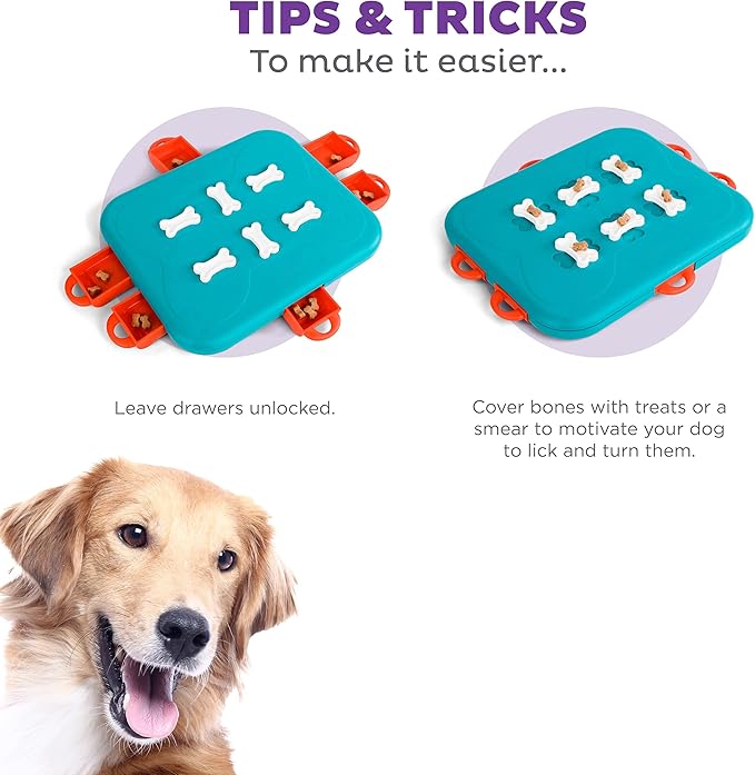 Outward Hound Nina Ottosson Dog Casino Dog Puzzle Interactive Treat Puzzle Dog Enrichment Dog Toy, Level 3 Advanced, Turquoise