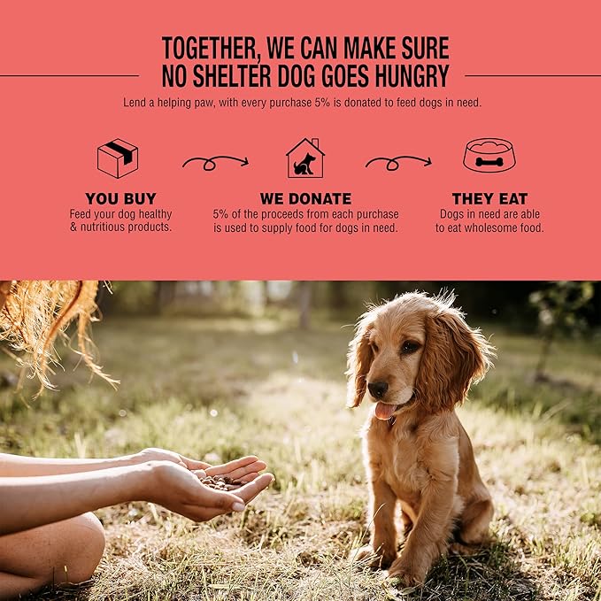 Dog for Dog Freeze Dried Dog Food Topper - Pasture Raised Beef Dog food toppers for Picky Eaters | Bone Broth powder for Dogs and Treats | All Natural & Limited Ingredient | Made in The USA - 4 OZ