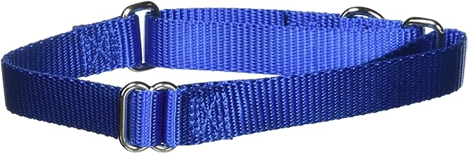 PetSafe Martingale Collar, 3/4" Medium, Royal Blue