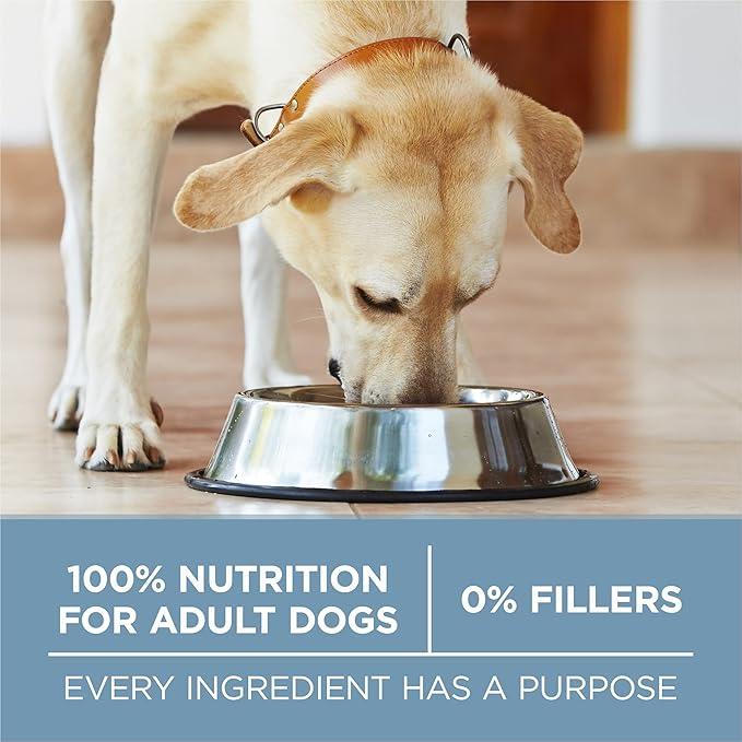 Purina ONE Plus Joint Health Formula Natural With Added Vitamins, Minerals and Nutrients Dry Dog Food - 31.1 lb. Bag