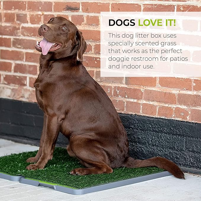 Silver Paw 3-Layer Washable Pee Pads for Dogs - Dog Grass Pad with Tray | Indoor Dog Potty for Small Dogs | Bathroom Tray for Pets | Dog Training Accessories - Large (34" x 27")