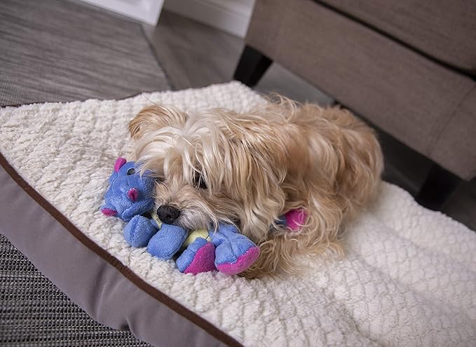 goDog Bubble Plush Dragons Squeaky Dog Toy, Chew Guard Technology - Periwinkle, Small
