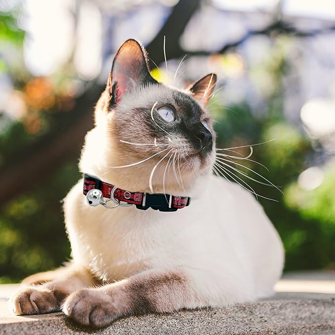 MLB CAT Collar Cincinnati Reds Satin Cat Collar Baseball Team Collar for Dogs & Cats. A Shiny & Colorful Cat Collar with Ringing Bell Pendant