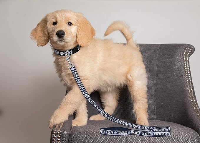 Pets First NHL Toronto Maple Leafs Leash for Dogs & Cats, Large. - Walk Cute & Stylish! The Ultimate Hockey Fan Leash!, 6 ft Long x 1 in Width, TOR-3031-LG