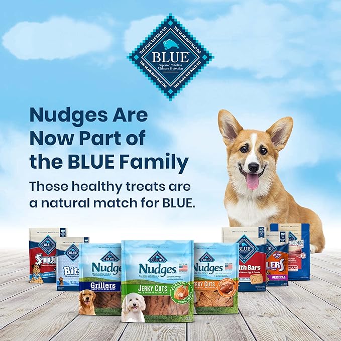 Blue Buffalo Nudges Jerky Cuts Natural Dog Treats, Steak, 10oz Bag