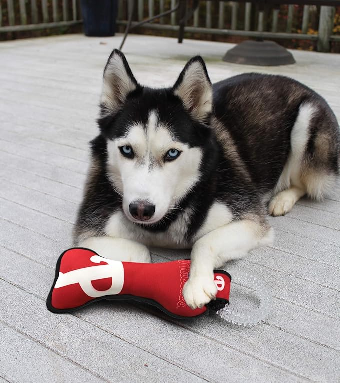 MLB Philadelphia Phillies Bone Shaped DENTAL DOG TUG TOY with SQUEAKER. TOUGH PET TOY for Healthy Fun, Teething, and Cleaning pet's teeth and gum.