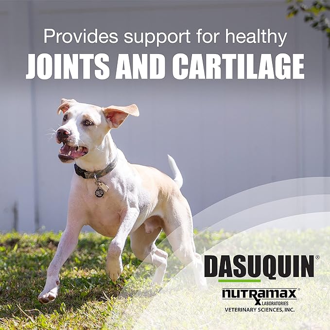 Nutramax Dasuquin Joint Health Supplement for Small to Medium Dogs - With Glucosamine, Chondroitin, ASU, Boswellia Serrata Extract, Green Tea Extract, 84 Chewable Tablets (White)