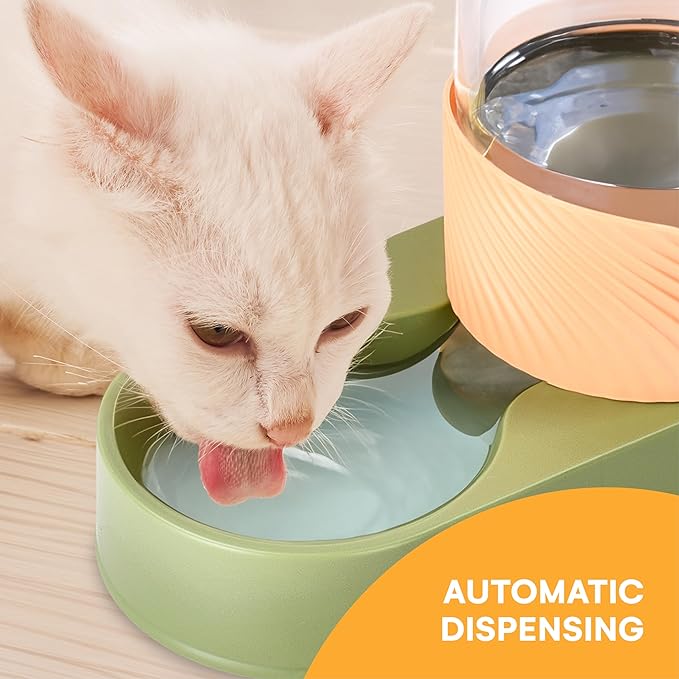Noa Store Cat Water and Food Dispenser Set, 6.2" Wx12.9 Lx8.6 H each - Automatic Dog Feeder and Waterer - Self-Feeding Gravity Bowls for Indoor Pets - Convenient Hydration Solution - 2 Pack, Green