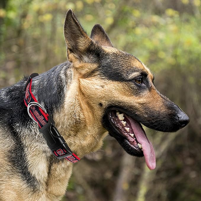 MLB Cleveland Guardians Licensed PET Collar, Large - Heavy-Duty, Strong, and Durable Dog Collar. Available in 30 Baseball Teams and 4 Sizes