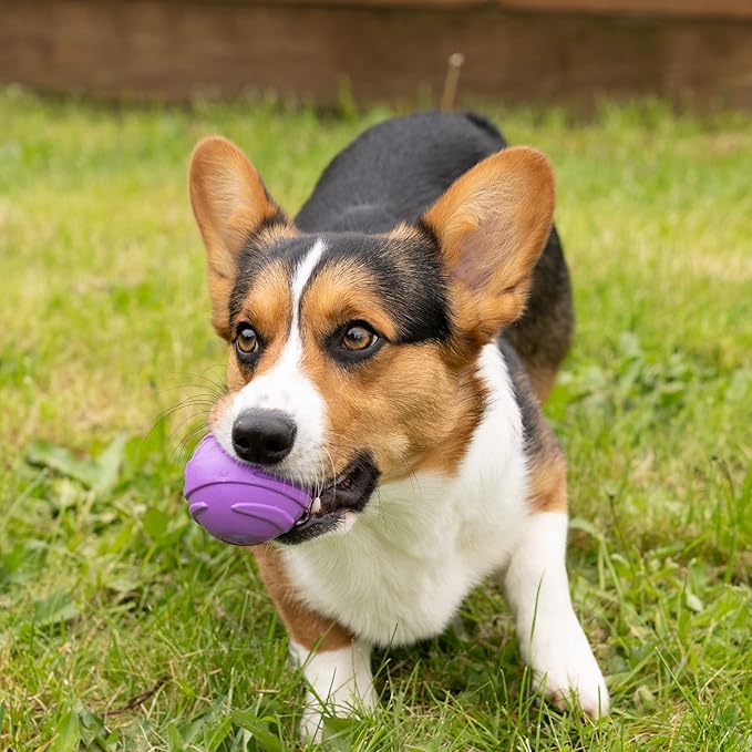 Furhaven 3-Pack 2.5" Squeaky Ball Dog Toys for Small/Medium Dogs, Fits Most Standard Launchers - Fetch 'N Fun TPR Squeaky Ball Toy Set - Space Pack, Set of 3