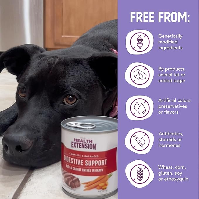 Health Extension Gravy Dog Food, Beef & Carrot Entrée, Crude Protein, Fiber & Fat with Added Vitamins, for All Life Stages, Wet Dog Food, Improve Gut Health, Digestive Support (9 Ounce, 12 Cans)