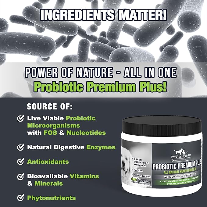 Probiotics for Dogs with Natural Digestive Enzymes ● 4 Bill CFUs/2 Soft Chews ● Dog Diarrhea Upset Stomach Yeast Gas Bad Breath Immunity Allergies Skin Itching Hot Spots ● 60 Count