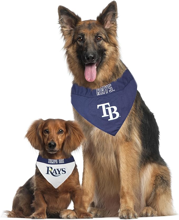 Pets First RAY-3217-S-M MLB Dog Bandana - Tampa Bay Rays Reversible Pet Bandana, Small/Medium, MLB Team Color