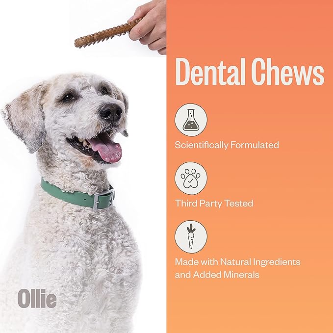 Ollie Dental Chews for Dogs Large- Dog Breath Treats - Dog Teeth Cleaning Treat - Dental Sticks for Dogs - Fresh Breath for Dogs - Dog Dental Chews - Dog Dental Care - 4 Large Pack
