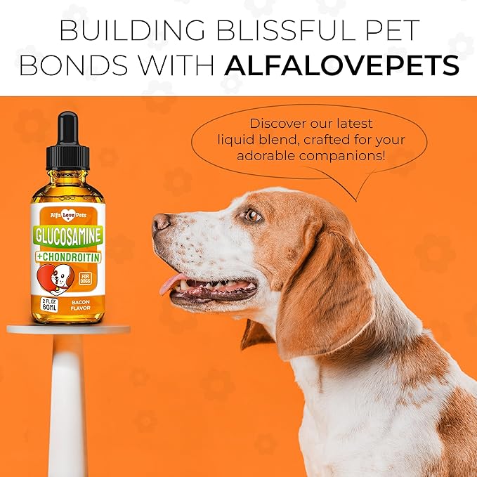 Glucosamine for Dogs Liquid ✿ Hip and Joint Supplement Dogs Liquid ✿ Dog Joint Supplement Liquid ✿ Glucosamine for Small Dogs ✿ Liquid Glucosamine for Dogs ✿ Bacon Flavor ✿ 2 Oz