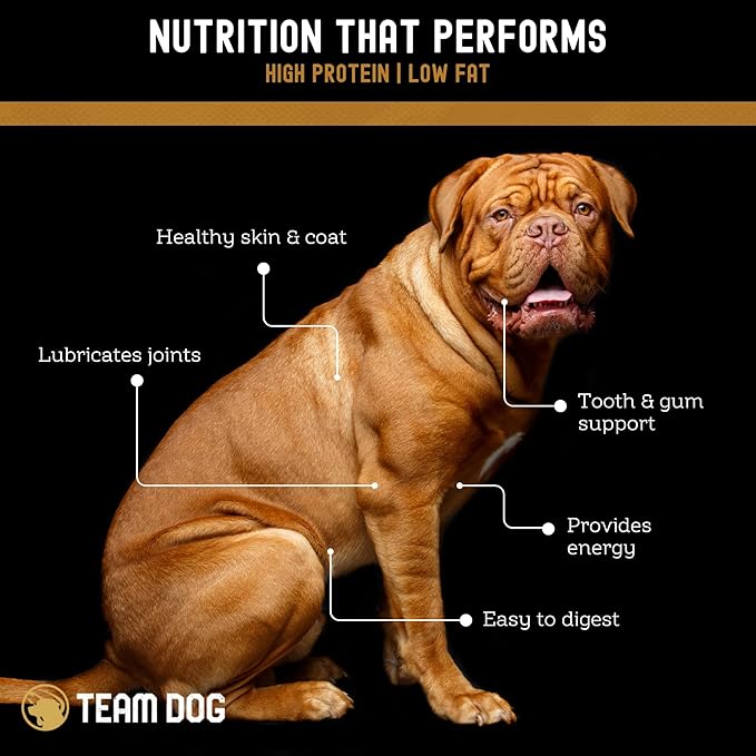 Beef Trachea Dog Chews | Single Ingredient Dog Treat | 100% Freeze Dried Beef Gullet Sticks for Dogs | Supports Healthy Teeth & Gums | All Natural Esophagus Dog Treats Made in USA | 3 Per Bag