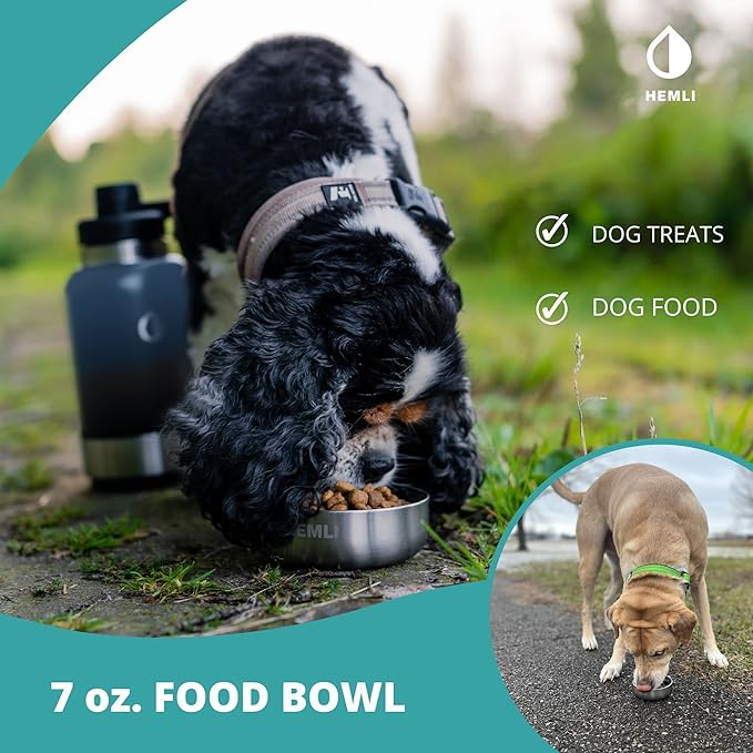 32 oz. Portable Dog Water Bottle, Dog Travel Water Bottle, Portable Water Bowl for Dogs, Dog Travel Bowel, Dog Water Bottle for Walking, Dog Travel Accessories Kit, Pet Travel Bottle for Hiking