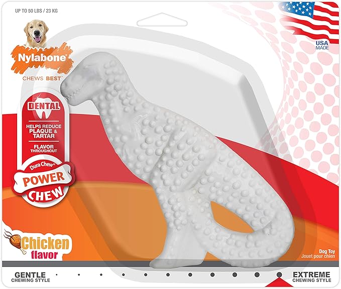 Nylabone Power Chew Dental Chew Toy Durable Dinosaur Dog Toy, Chicken Flavor, Large/Giant (1 Count)